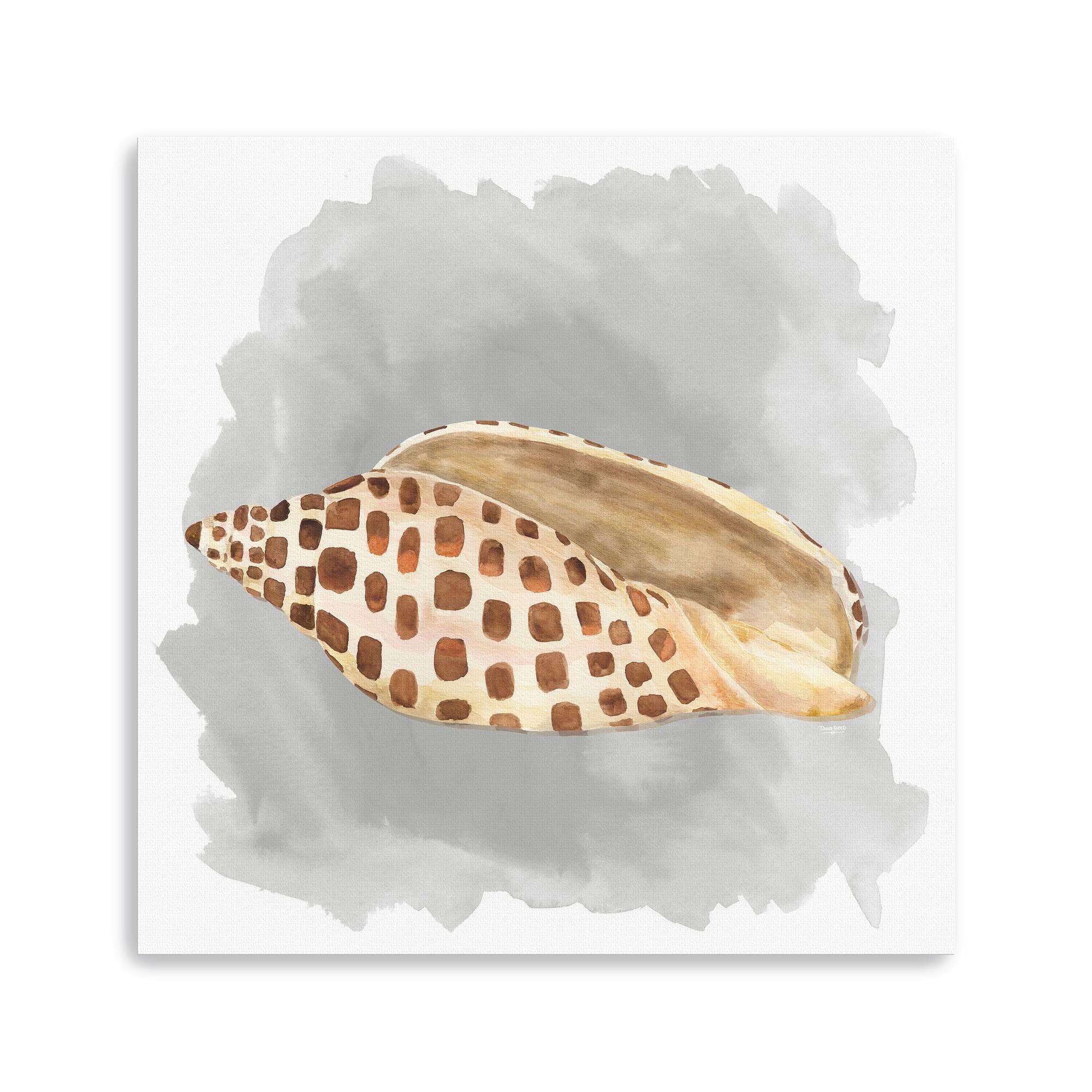 Shells On Grey I Canvas Giclee